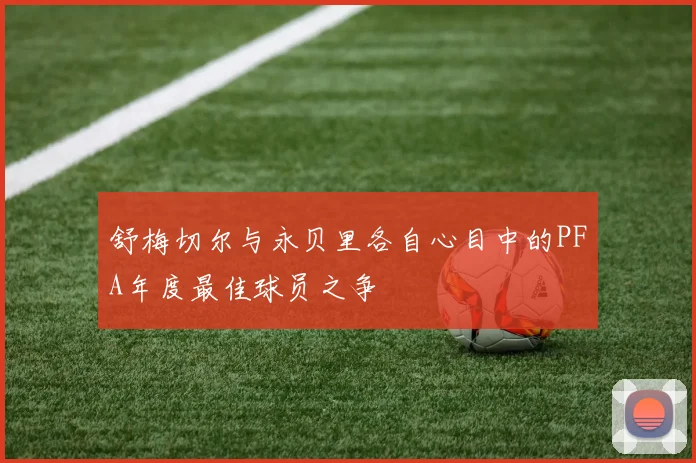 舒梅切尔与永贝里各自心目中的PFA年度最佳球员之争